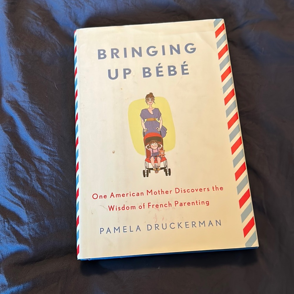 Pregnancy Book